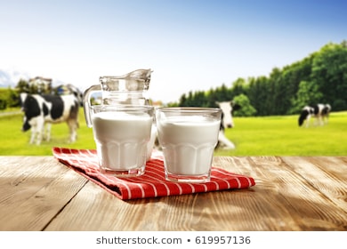 ” Sữa Bột Dinh Dưỡng “